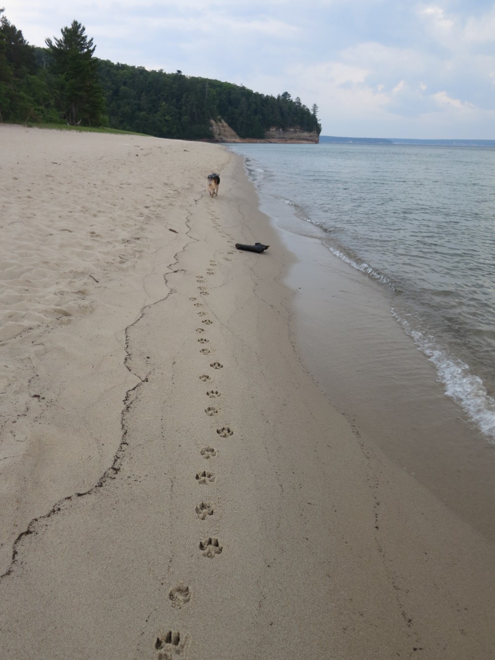 "We will be known forever by the tracks we leave." — Dakota Proverb