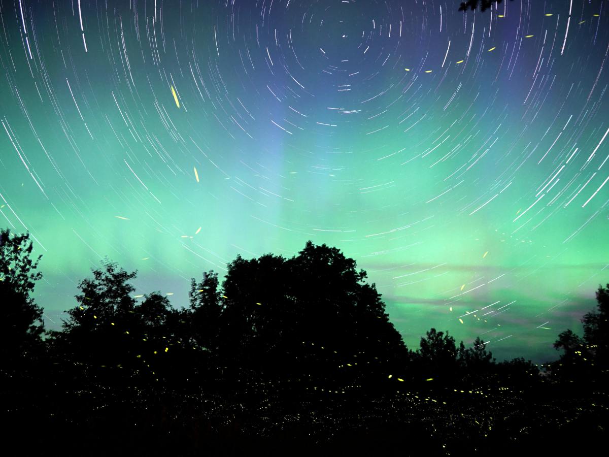 Inspired by Night Sky Myth & Legend