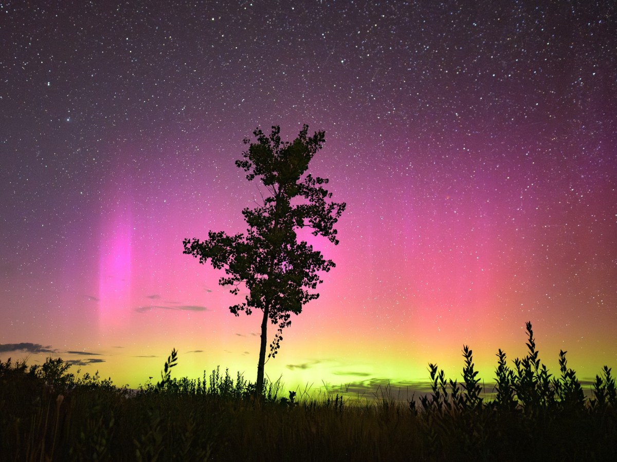 Bringing the Aurora Chase to YouTube