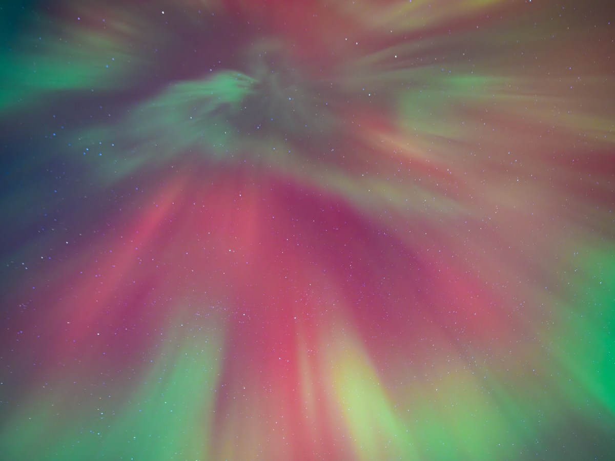 Catch the Corona in the Mid-Latitudes