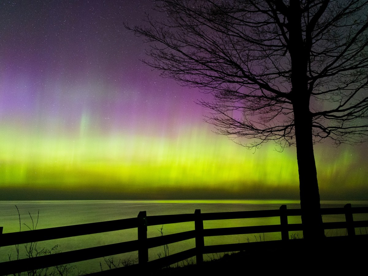 Understanding the Trending Set of Aurora Alerts