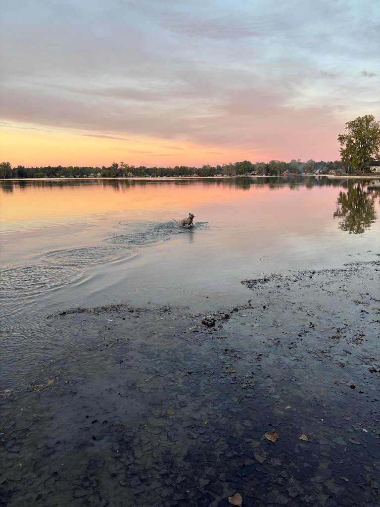 Photo of Elio in the lake at sunset