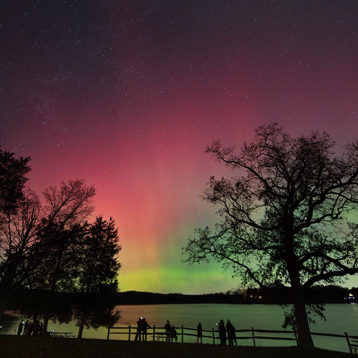 Guiding You to the Northern Lights